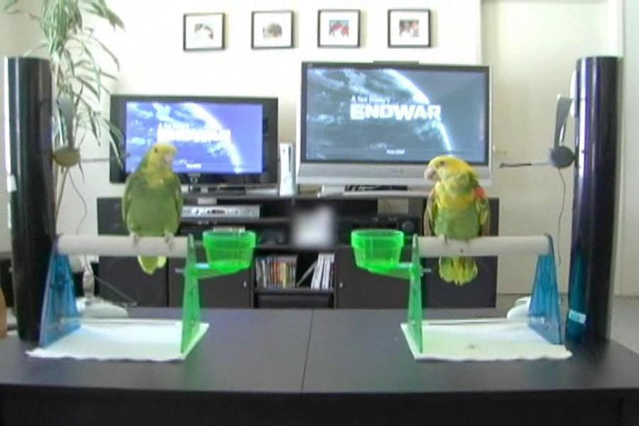 EndWar: Parrot gameplay