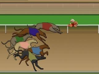 closest dog racing online