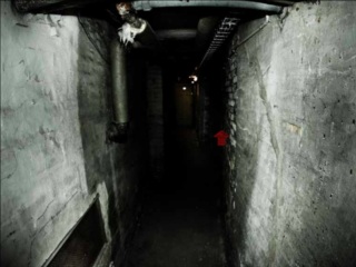 Cellar Door Adventure Flash Game Onlinegamesector Com