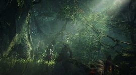 Assassins Creed IV: Black Flag - PS4