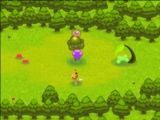 Forest Guardians