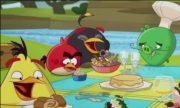 Angry Birds Toons #49 - Piknik
