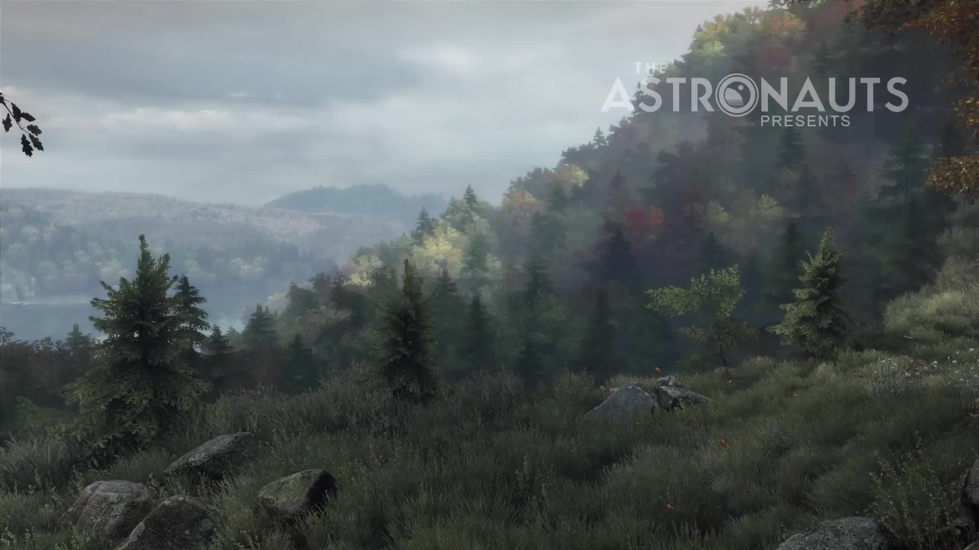 The Vanishing of Ethan Carter - Welcome to Red Creek Valley 