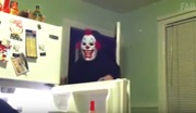 Naľakania a mačky