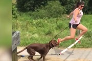 Zábava v slowmotion
