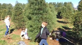 Najlepšie vianočné faily