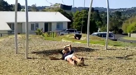 Víťazstvá vs prehry