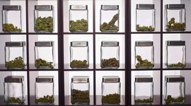 Weedcraft Inc, manažmentový simulátor pestovania trávy sa predstavuje