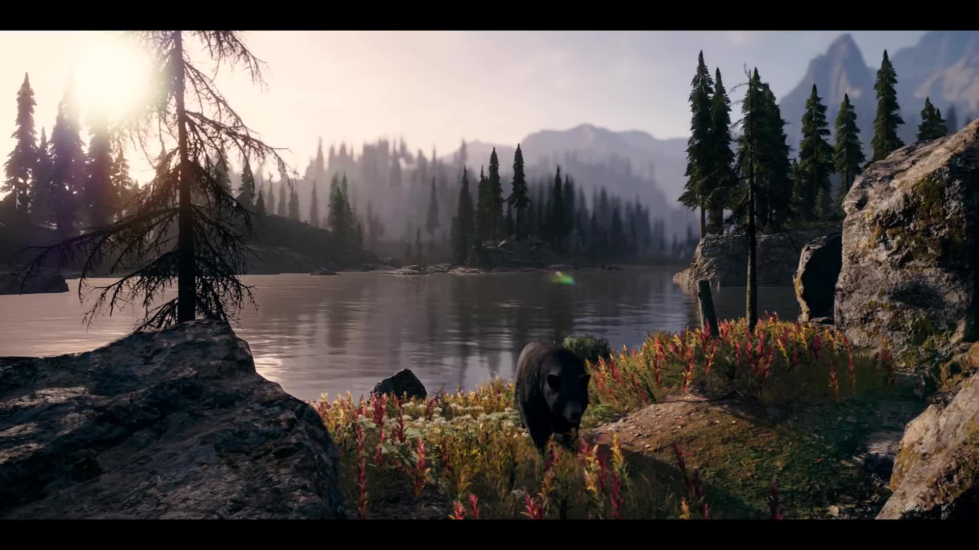 Far Cry 5 - PC trailer