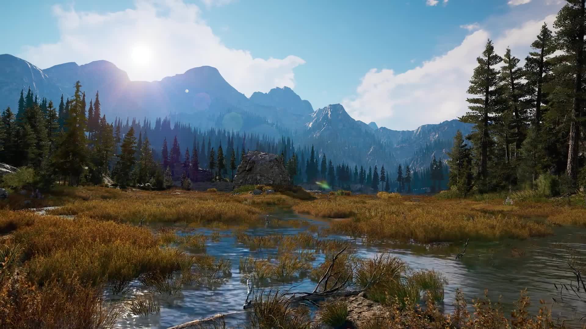 Far Cry 5   adaptovanie hry pre PC