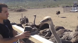 Faily: Vidiek vs Mesto