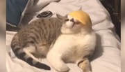 Top 100 failov roka 2019 - časť 4.