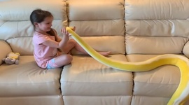 Najlepšie videá týždňa