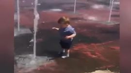 Faily týždňa - sorry