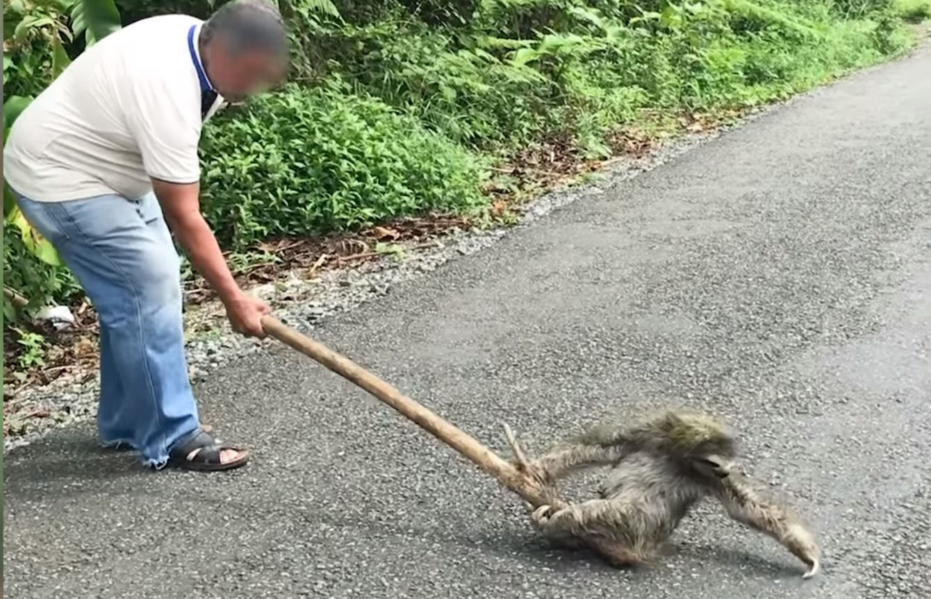 Najlepšie zábavné scénky týždňa
