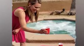 Najlepšie faily roka 2020