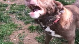 Jeseň sa blíži - faily