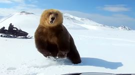 Strašidelná príroda - faily