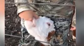 Faily týždňa - Nástrahy prírody