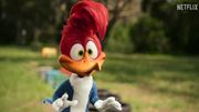 Woody Woodpecker Goes to Camp - filmov trailer