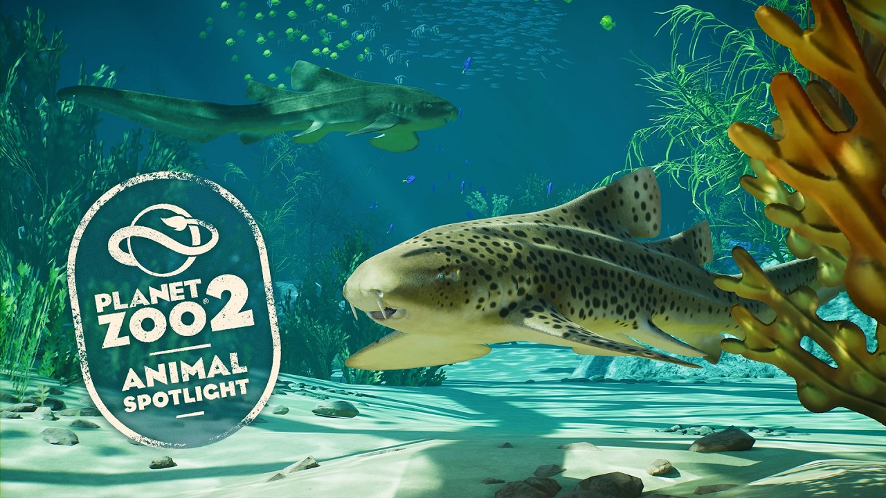 Planet Zoo 2 ukazuje žraloka zebrovitého