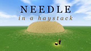 Needle in a Haystack