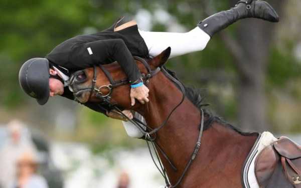 Zachytené v správnej chvíli