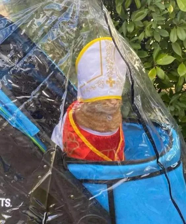 Podivnosti z internetu