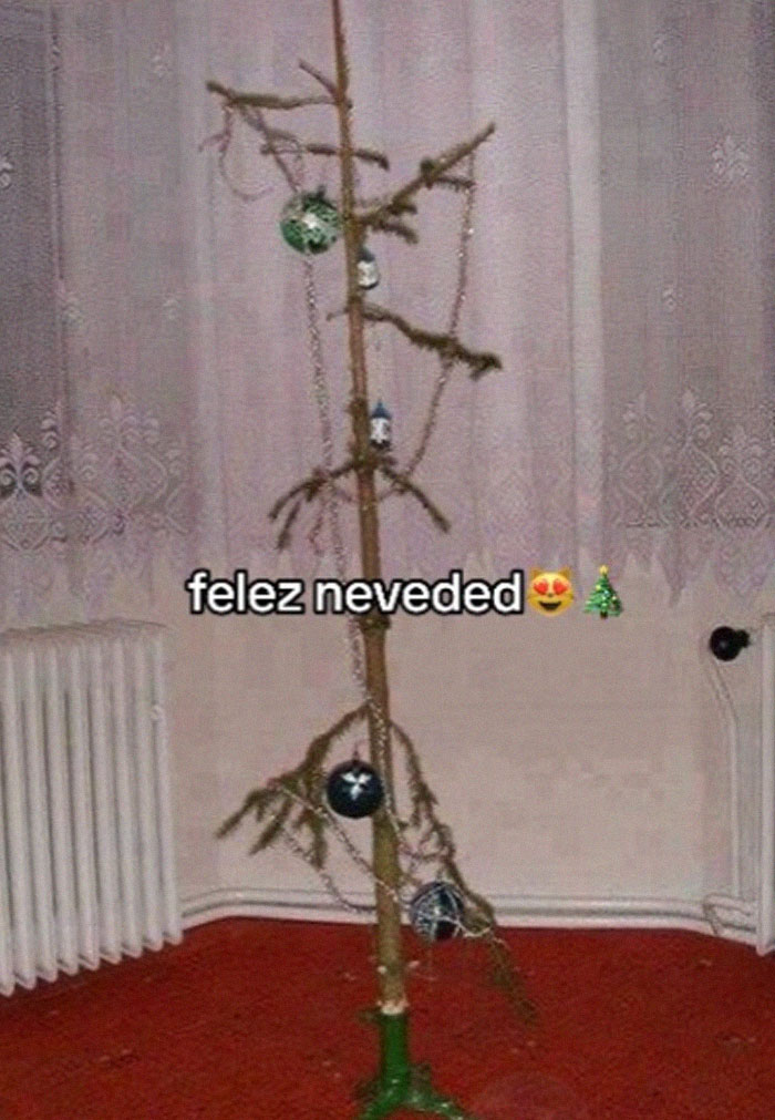 Nie všetky stromčeky sú rovnaké