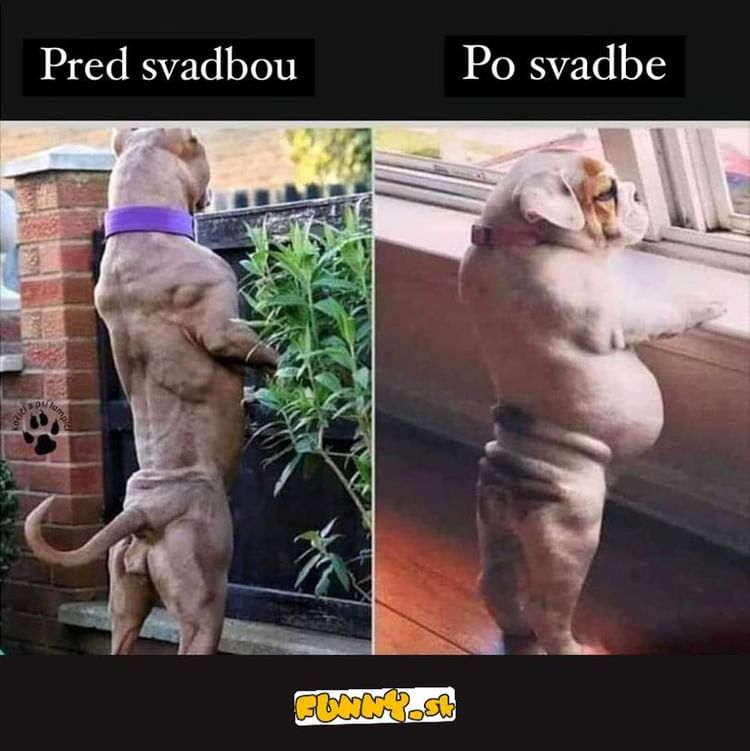 Na toto pozor