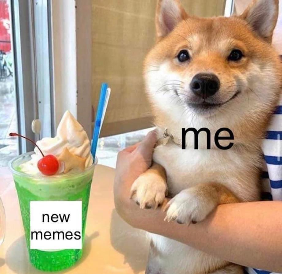 Volebný týždenník