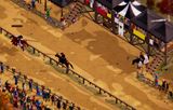 1428: Shadow over Silesia