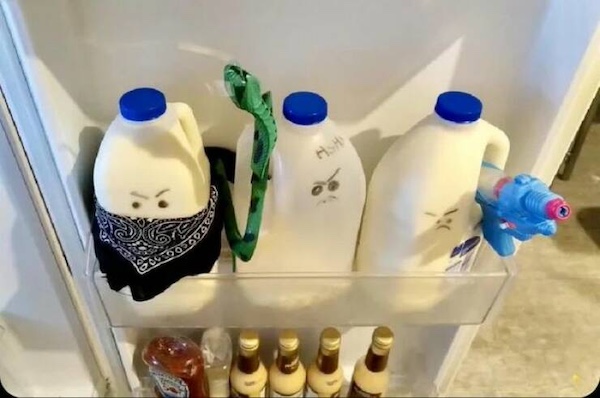 Víkendovky
