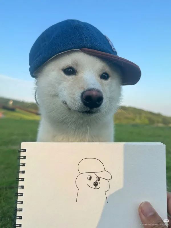 Víkendovky
