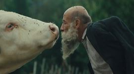 Radeji zešílet v divočine