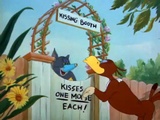 Tom a Jerry #21 - Vták flirtuje