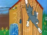 Tom a Jerry #104  - Malej pes