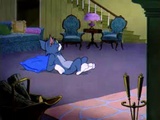 Tom a Jerry #80 - Malej psík