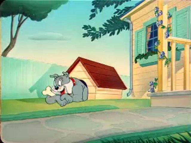 Tom a Jerry #53 - Obvinen maka