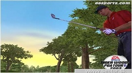 Tiger  Woods PGA Tour 2003