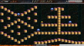 Fat Head