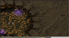 Phobia III 