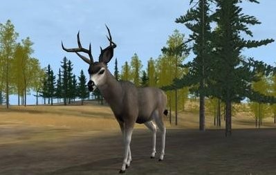 Deer Hunter 2004