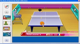 Flash Sports Games Collection 1