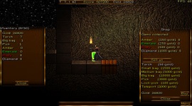 Dungeon Looter