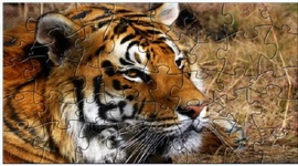 Extreme Tiger Puzzle 