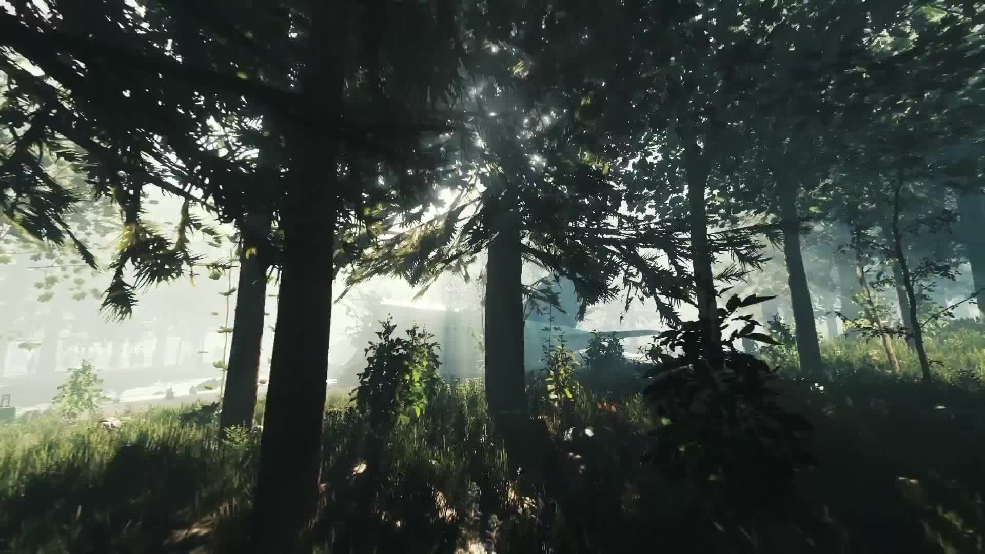 Forest - PS4 trailer