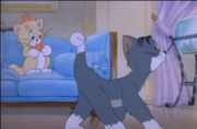 Tom a Jerry #6 - Pozornost
