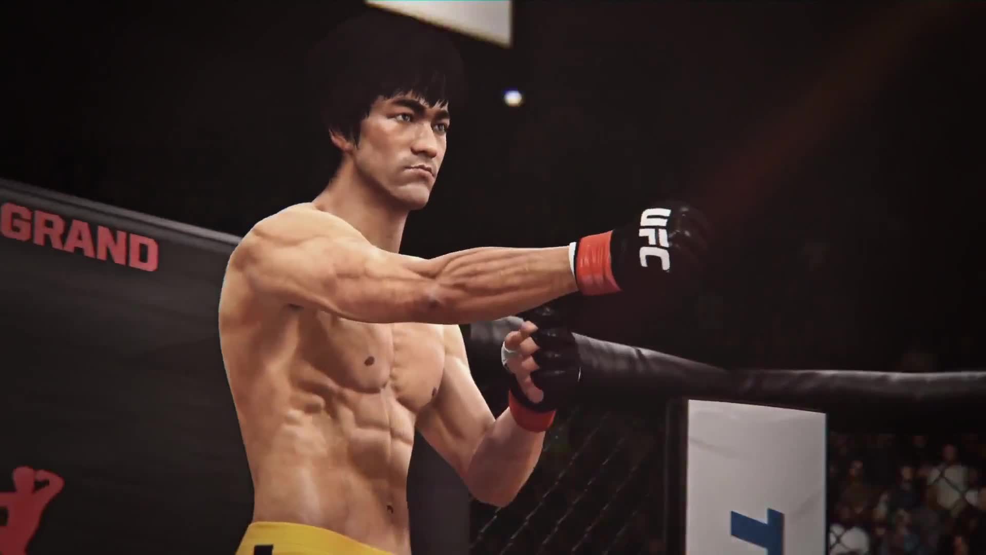 EA Sports UFC - Bruce Lee