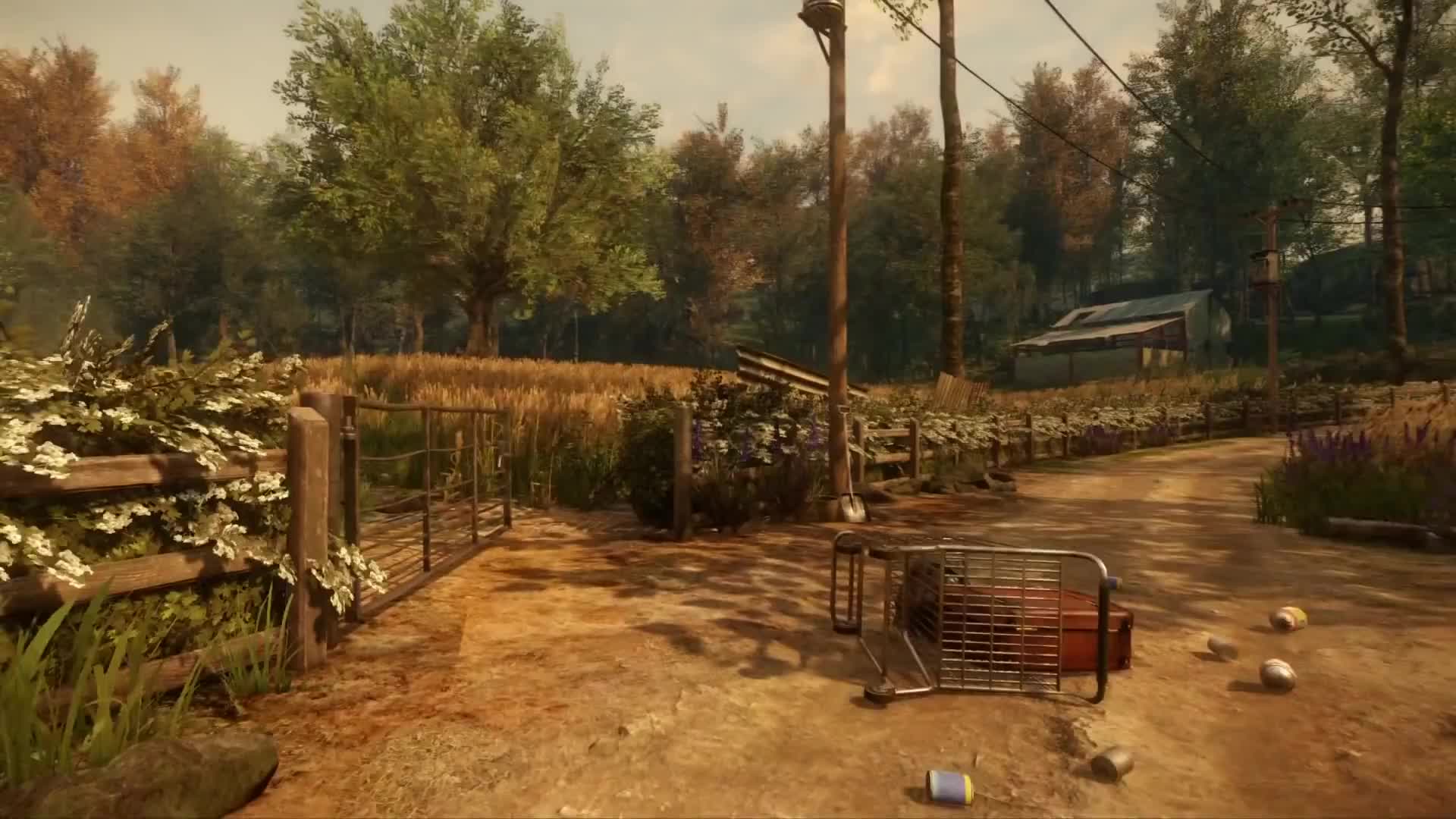 Everybody is gone to Rapture - E3 trailer